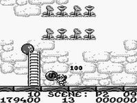 une photo d'Ã©cran de RodLand sur Nintendo Game Boy